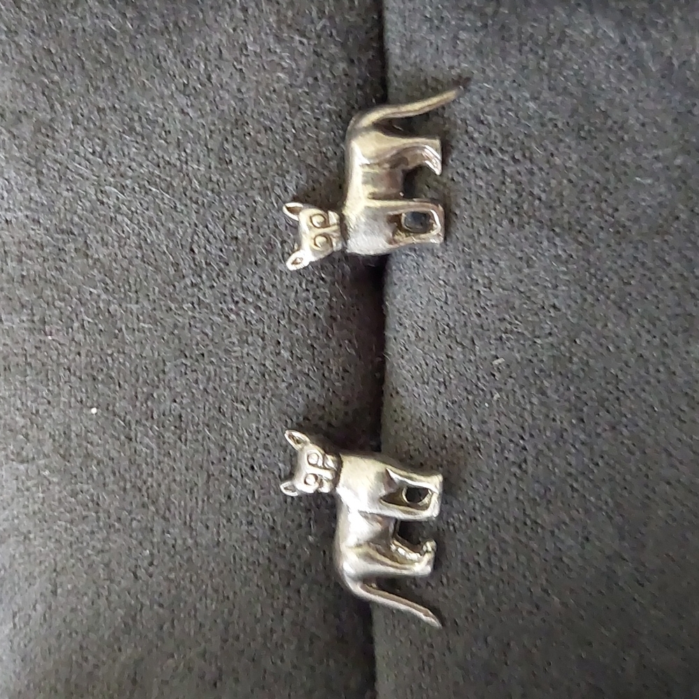 RARE Cat Earrings